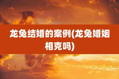 龙兔结婚的案例(龙兔婚姻相克吗)