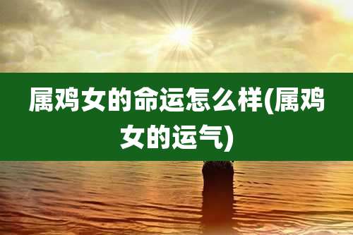 属鸡女的命运怎么样(属鸡女的运气)
