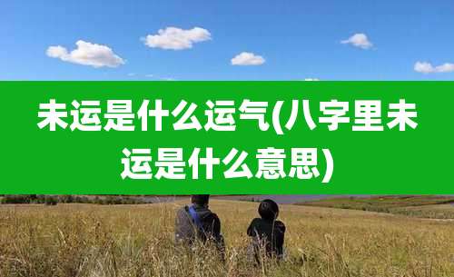 未运是什么运气(八字里未运是什么意思)