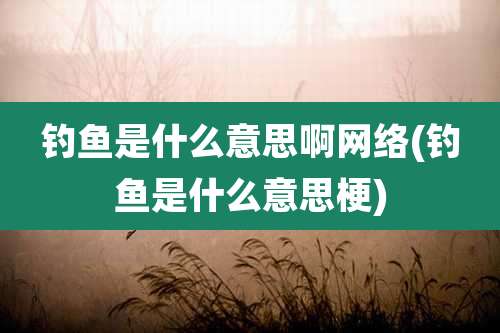 钓鱼是什么意思啊网络(钓鱼是什么意思梗)