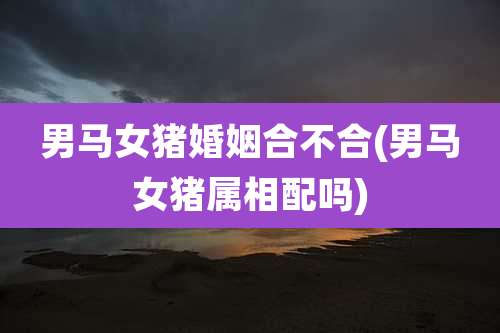 男马女猪婚姻合不合(男马女猪属相配吗)