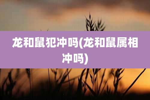 龙和鼠犯冲吗(龙和鼠属相冲吗)