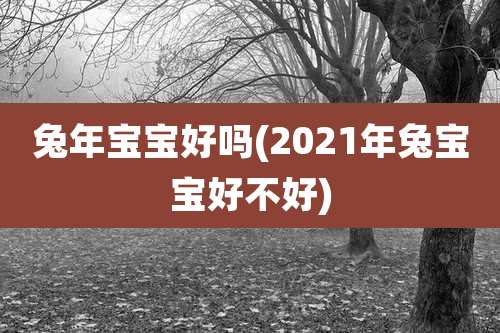 兔年宝宝好吗(2021年兔宝宝好不好)