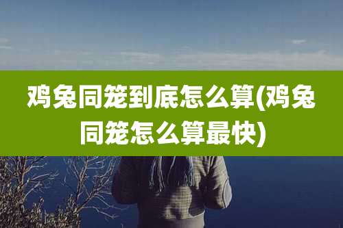 鸡兔同笼到底怎么算(鸡兔同笼怎么算最快)