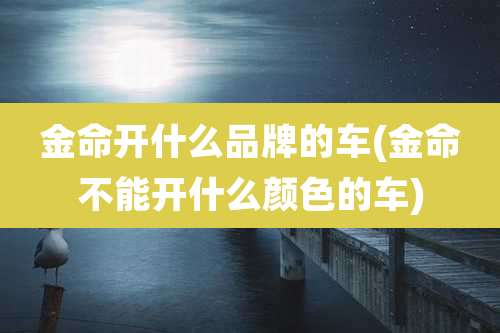 金命开什么品牌的车(金命不能开什么颜色的车)