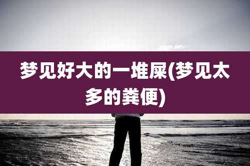 梦见好大的一堆屎(梦见太多的粪便)