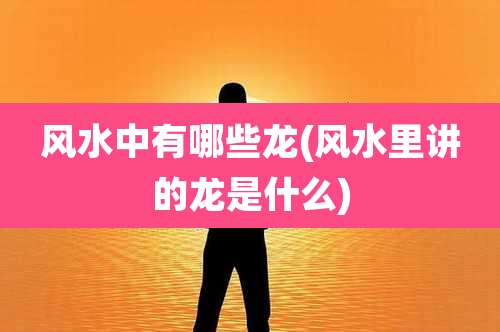 风水中有哪些龙(风水里讲的龙是什么)
