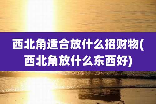西北角适合放什么招财物(西北角放什么东西好)