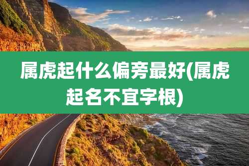 属虎起什么偏旁最好(属虎起名不宜字根)