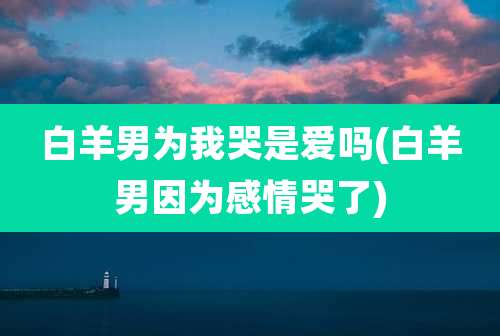 白羊男为我哭是爱吗(白羊男因为感情哭了)