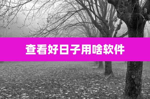 查看好日子用啥软件