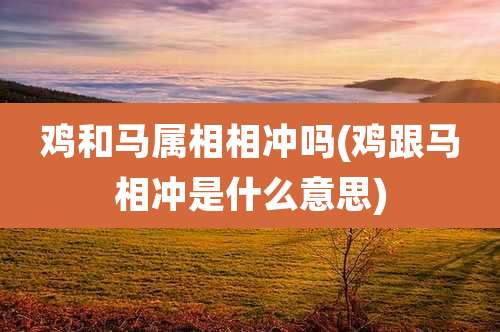 鸡和马属相相冲吗(鸡跟马相冲是什么意思)