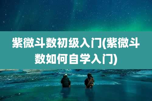紫微斗数初级入门(紫微斗数如何自学入门)