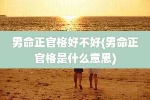 男命正官格好不好(男命正官格是什么意思)