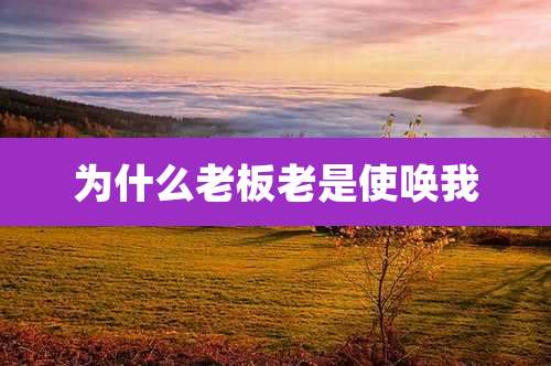 为什么老板老是使唤我