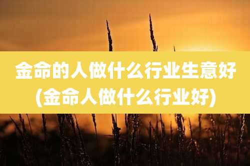 金命的人做什么行业生意好(金命人做什么行业好)