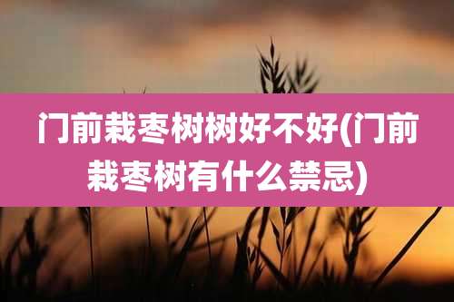 门前栽枣树树好不好(门前栽枣树有什么禁忌)