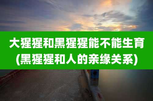 大猩猩和黑猩猩能不能生育(黑猩猩和人的亲缘关系)