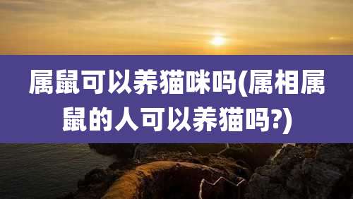 属鼠可以养猫咪吗(属相属鼠的人可以养猫吗?)