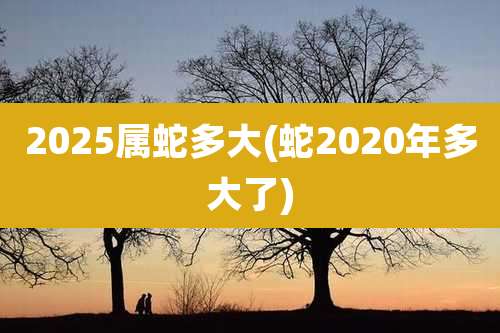 2025属蛇多大(蛇2020年多大了)
