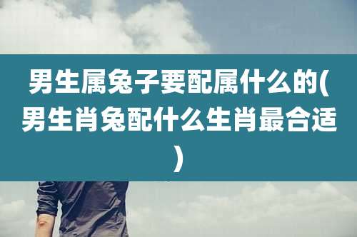 男生属兔子要配属什么的(男生肖兔配什么生肖最合适)