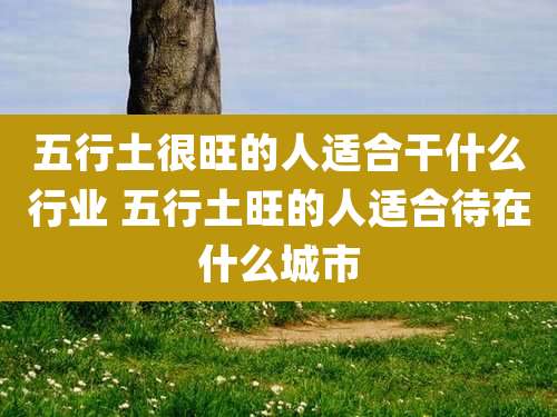 五行土很旺的人适合干什么行业 五行土旺的人适合待在什么城市