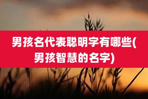 男孩名代表聪明字有哪些(男孩智慧的名字)