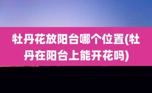 牡丹花放阳台哪个位置(牡丹在阳台上能开花吗)
