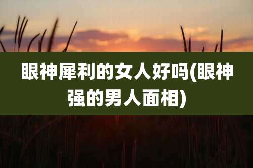 眼神犀利的女人好吗(眼神强的男人面相)