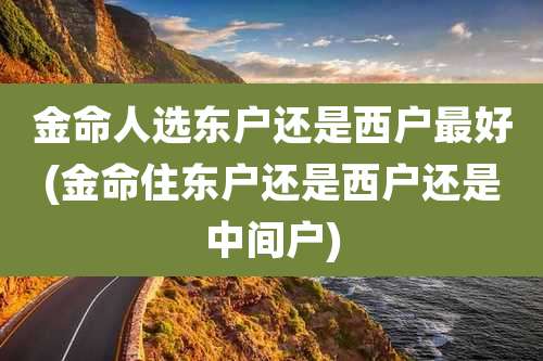 金命人选东户还是西户最好(金命住东户还是西户还是中间户)