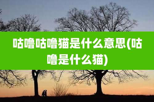 咕噜咕噜猫是什么意思(咕噜是什么猫)