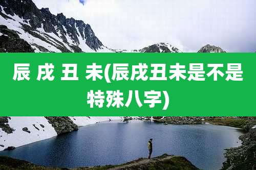 辰 戌 丑 未(辰戌丑未是不是特殊八字)