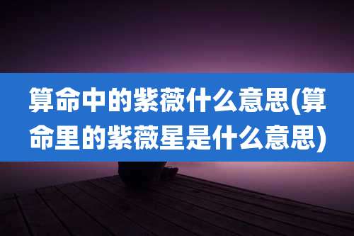 算命中的紫薇什么意思(算命里的紫薇星是什么意思)