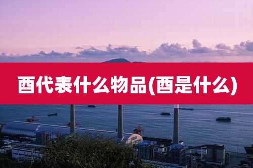 酉代表什么物品(酉是什么)