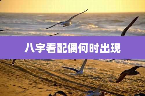 八字看配偶何时出现