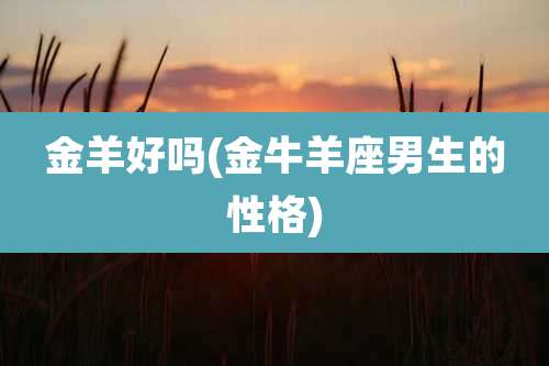 金羊好吗(金牛羊座男生的性格)