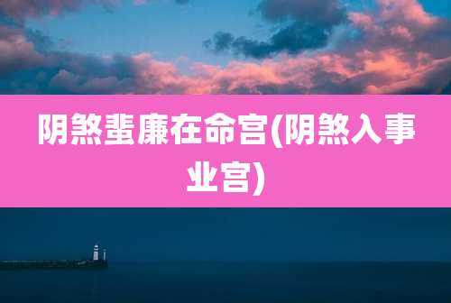 阴煞蜚廉在命宫(阴煞入事业宫)