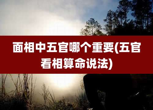 面相中五官哪个重要(五官看相算命说法)