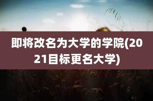 即将改名为大学的学院(2021目标更名大学)