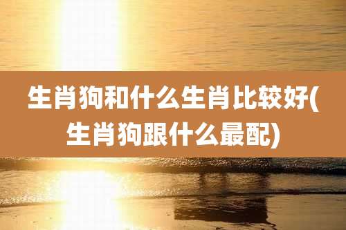 生肖狗和什么生肖比较好(生肖狗跟什么最配)