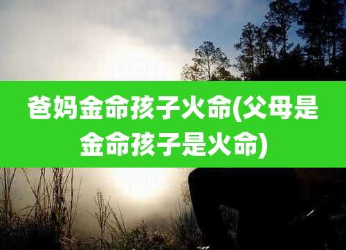 爸妈金命孩子火命(父母是金命孩子是火命)