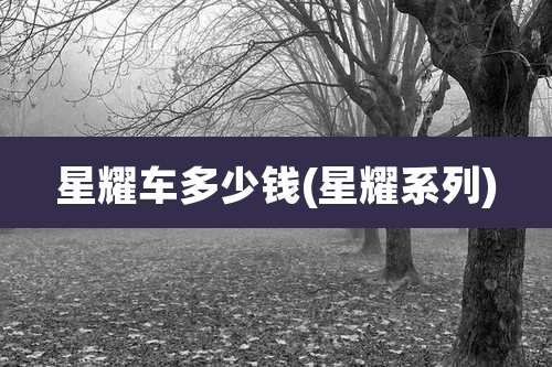 星耀车多少钱(星耀系列)