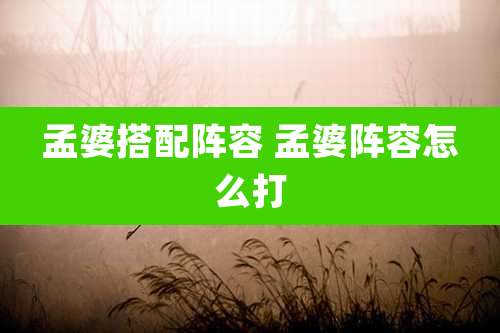 孟婆搭配阵容 孟婆阵容怎么打