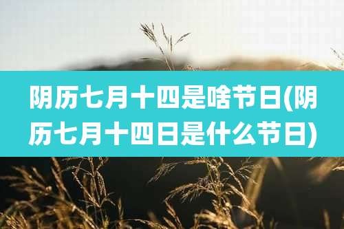 阴历七月十四是啥节日(阴历七月十四日是什么节日)