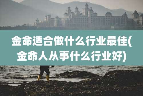 金命适合做什么行业最佳(金命人从事什么行业好)