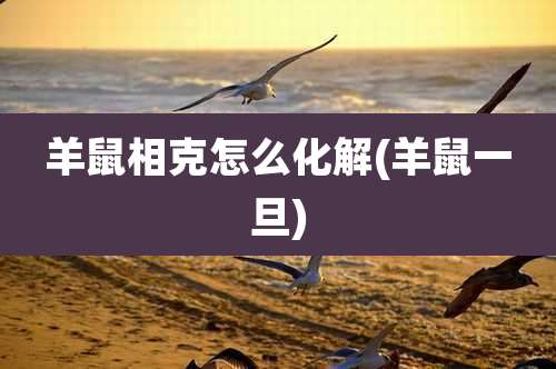 羊鼠相克怎么化解(羊鼠一旦)