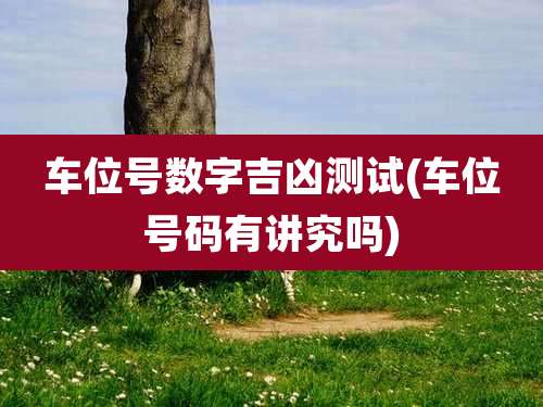 车位号数字吉凶测试(车位号码有讲究吗)