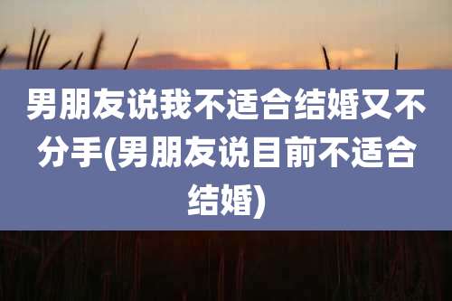 男朋友说我不适合结婚又不分手(男朋友说目前不适合结婚)