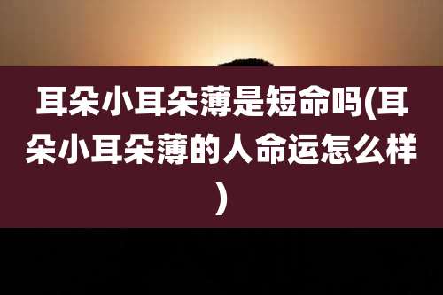 耳朵小耳朵薄是短命吗(耳朵小耳朵薄的人命运怎么样)
