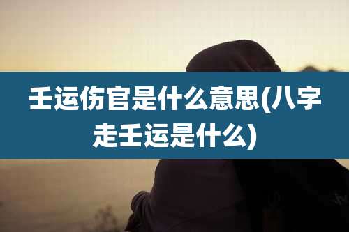 壬运伤官是什么意思(八字走壬运是什么)